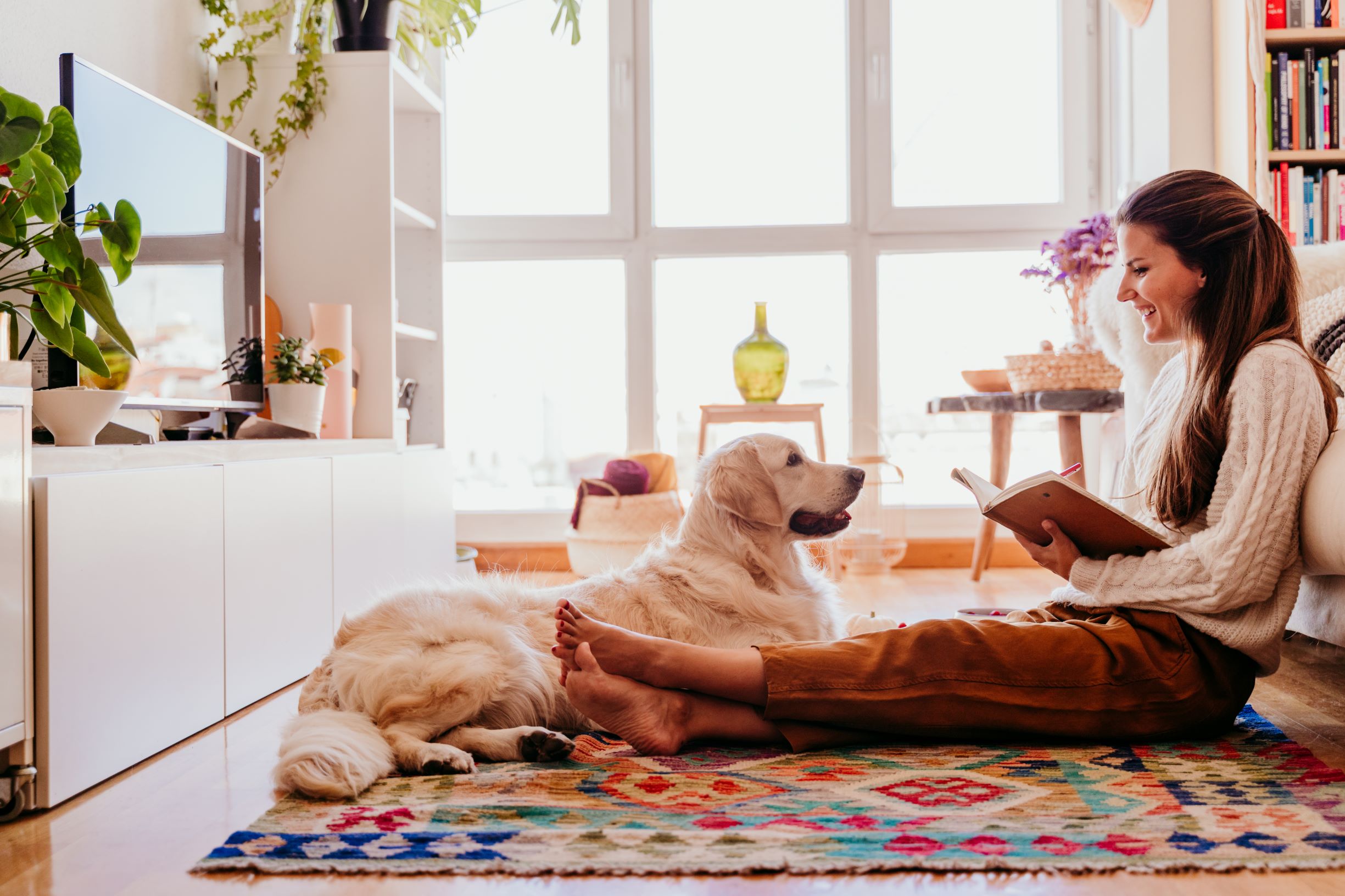 How to Keep your Home Smelling Fresh with Pets